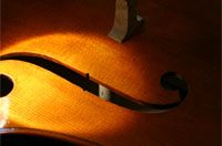 ame d'un violoncelle en place